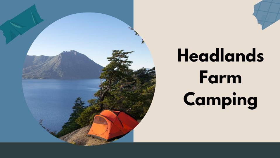 The Best 16 Campsites in South West Wales – South West Mag