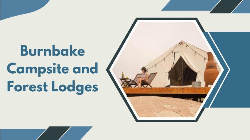 Top 10 Glamping in Dorset - Get Closer to Nature – South West Mag