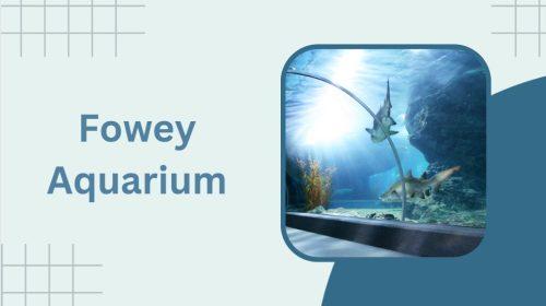 Fowey Aquarium