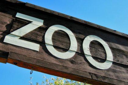 Top 12 Zoos in South West England - Explore the Diverse Animal Kingdom