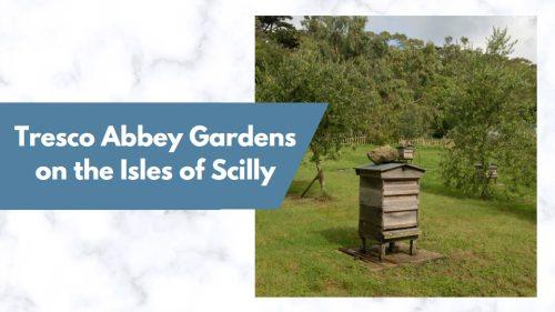 Tresco Abbey Gardens on the Isles of Scilly