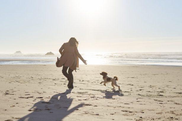 Best Dog Friendly Beaches in Cornwall - Top 10