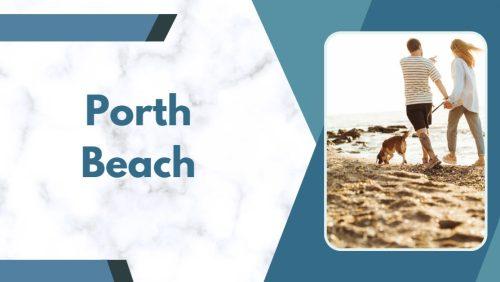 dog friendly beaches in newquay 