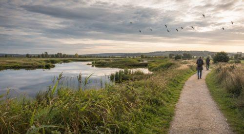 Somerset Levels