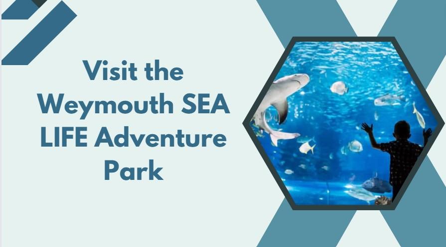 Best Things To Do In Dorset Exciting Activities South West Mag best-things-to-do-in-dorset-exciting-activities-south-west-mag