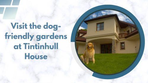 Visit the dog-friendly gardens at Tintinhull House