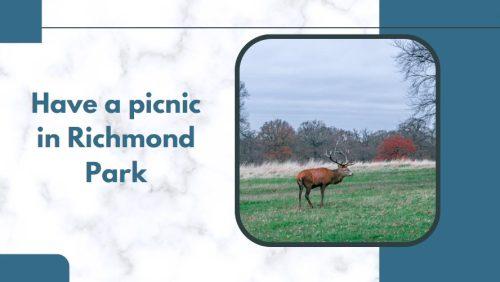 Have a Picnic in Richmond Park