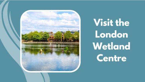Visit the London Wetland Centre
