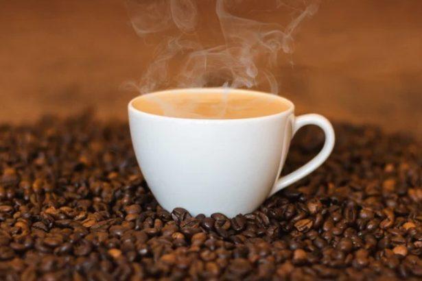 Best Breakfast in Dorset