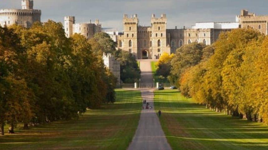 Best Things to Do in Windsor - Exciting Activities