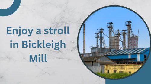 Enjoy a stroll in Bickleigh Mill