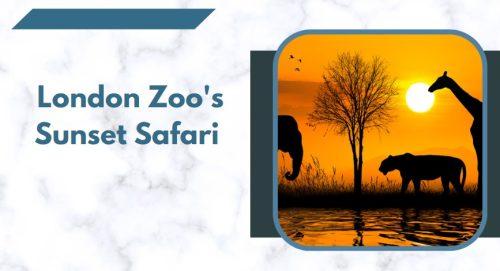 London Zoo's Sunset Safari
