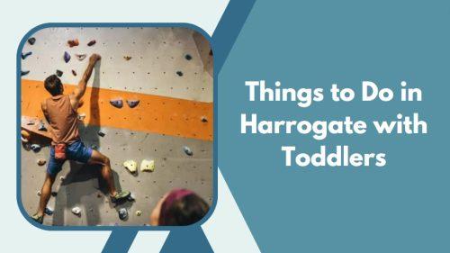 Things to Do in Harrogate with Toddlers
