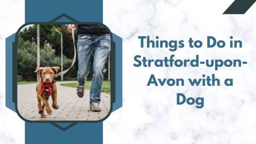 Things to Do in Stratford-upon-Avon with a Dog