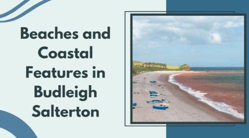 Beaches and Coastal Features in Budleigh Salterton