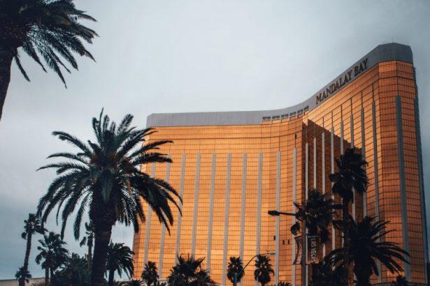 Best Places to Stay in Somerset