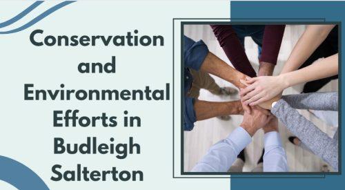 Conservation and Environmental Efforts in Budleigh Salterton