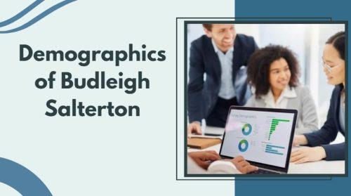 Demographics of Budleigh Salterton