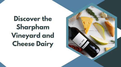 Discover the Sharpham Vineyard and Cheese Dairy
