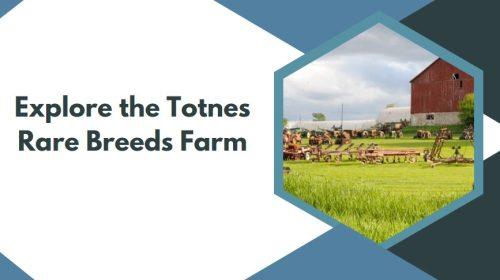 Explore the Totnes Rare Breeds Farm