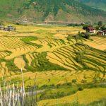 Hot Countries in March