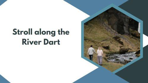 Stroll along the River Dart
