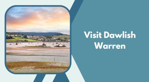 Visit Dawlish Warren - things to do in dawlish