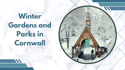 Winter Gardens and Parks in Cornwall