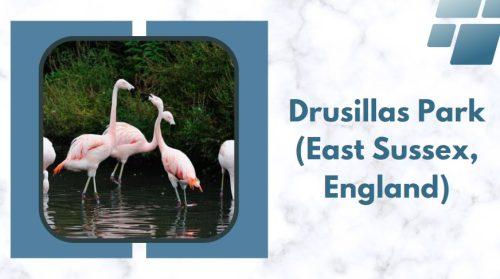 Drusillas Park (East Sussex, England)