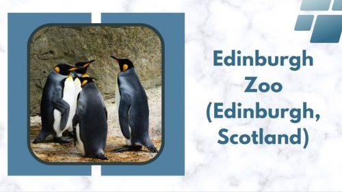 Edinburgh Zoo (Edinburgh, Scotland)