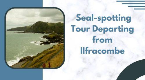 Embark on a Seal-spotting Tour Departing from Ilfracombe