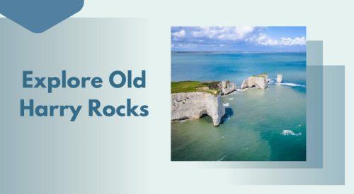 Explore Old Harry Rocks