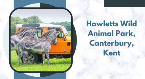 Howletts Wild Animal Park, Canterbury, Kent