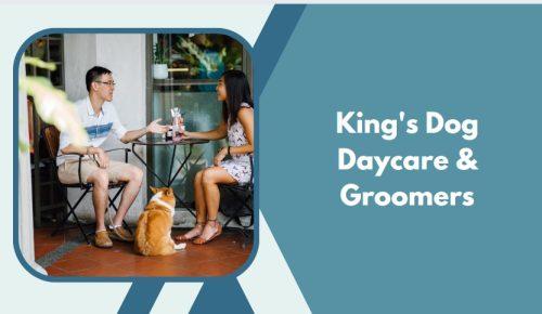 King's Dog Daycare & Groomers