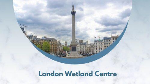 London Wetland Centre 