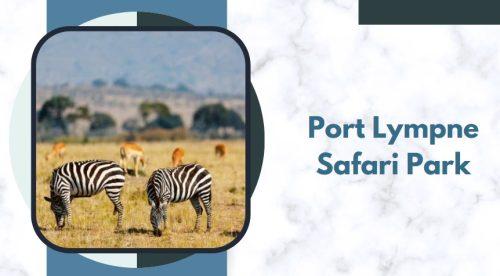 Port Lympne Safari Park