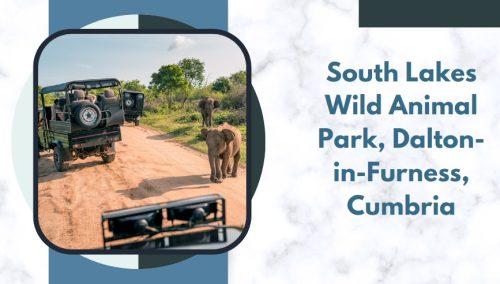 South Lakes Wild Animal Park, Dalton-in-Furness, Cumbria