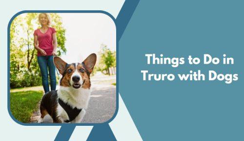 Things to Do in Truro with Dogs