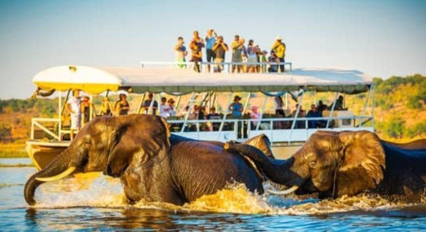 Top 10 Best Safari Park in UK