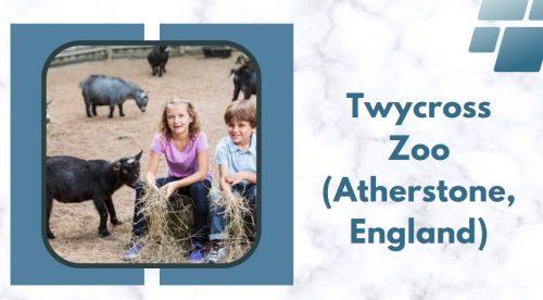Twycross Zoo (Atherstone, England)