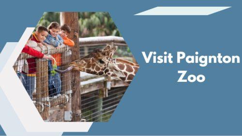 Visit Paignton Zoo - things to do in paignton