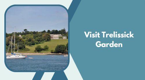 Visit Trelissick Garden