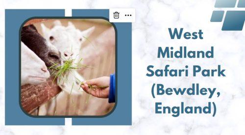 West Midland Safari Park (Bewdley, England)