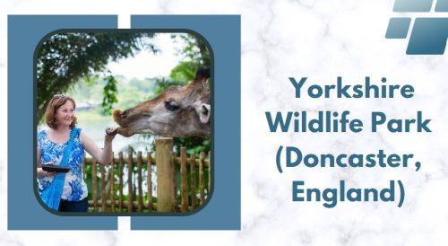 Yorkshire Wildlife Park (Doncaster, England)