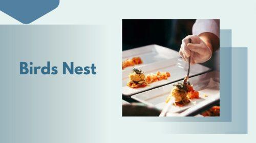 Birds Nest