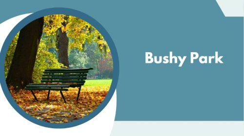 Bushy Park - things to do in hampton hill