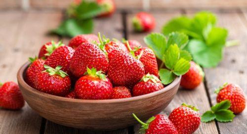 Caring for Your Strawberries