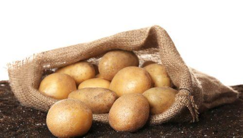 Common Potato Problems and Solutions
