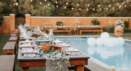 Container Gardens and Potted Plants