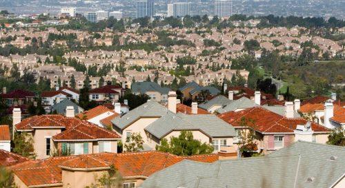 County Sports and Recreational Activities